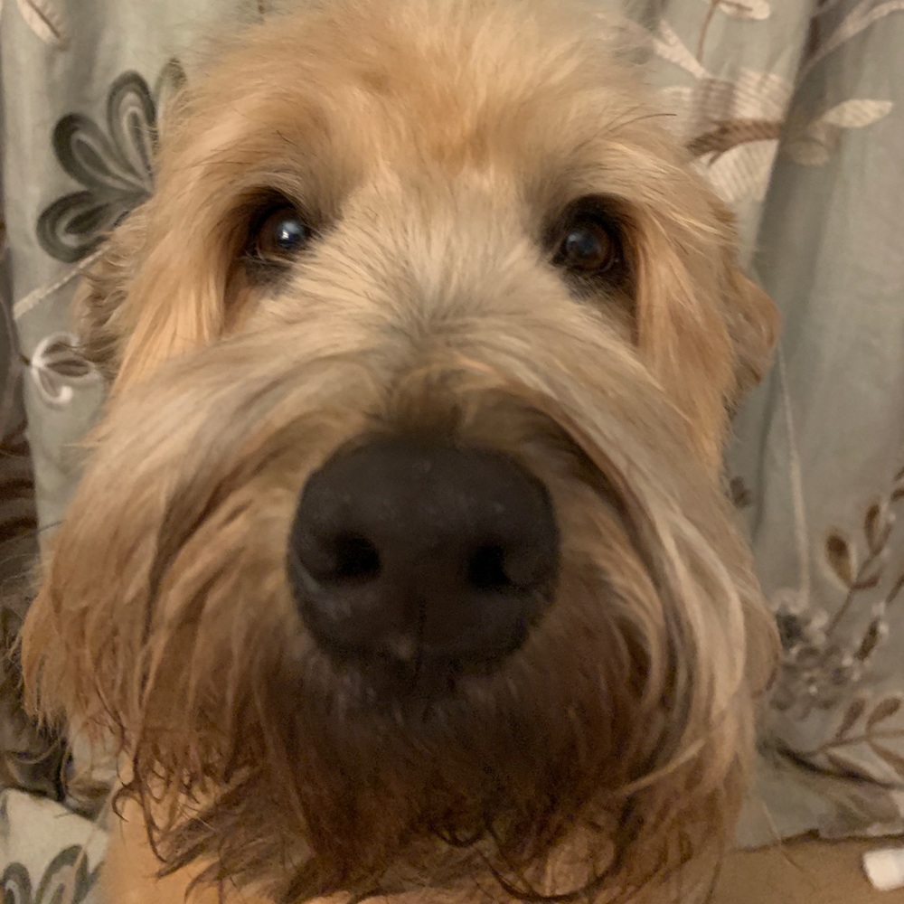 Meet your Posher, Kate